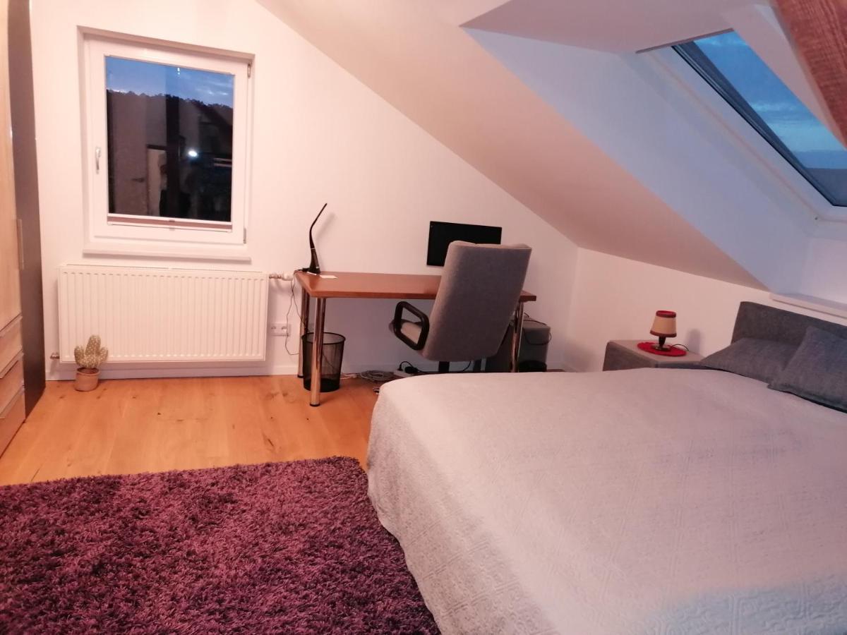 그뮌트 Haus Larissa 아파트 외부 사진